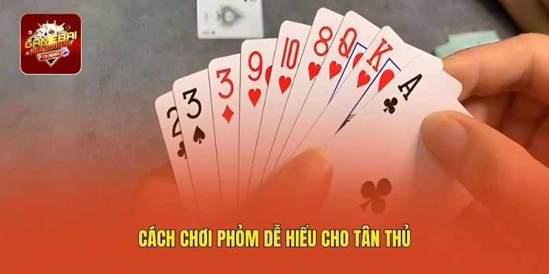 Cách chơi Phỏm dễ hiểu cho tân thủ